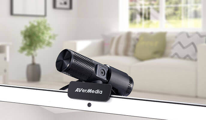 AVerMedia LIVE STREAMER CAM 313